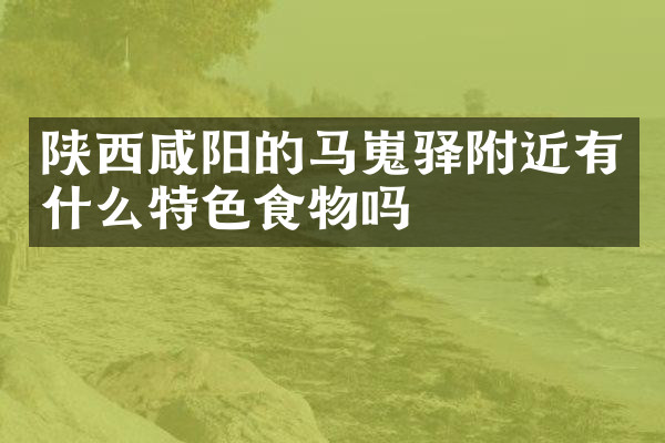 陕西咸阳的马嵬驿附近有什么特色食物吗