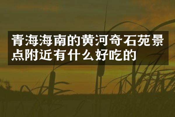 青海海南的黄河奇石苑景点附近有什么好吃的