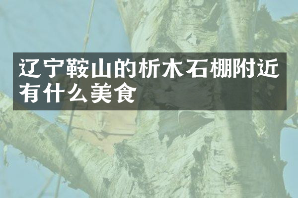 辽宁鞍山的析木石棚附近有什么美食