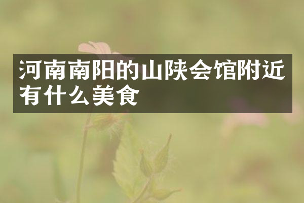河南南阳的山陕会馆附近有什么美食