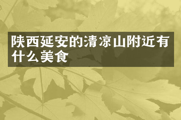 陕西延安的清凉山附近有什么美食