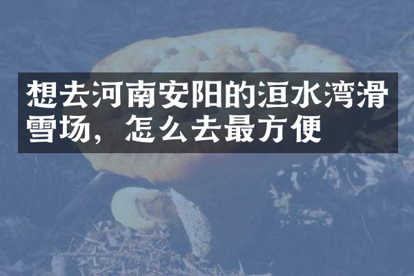 想去河南安阳的洹水湾滑雪场，怎么去最方便