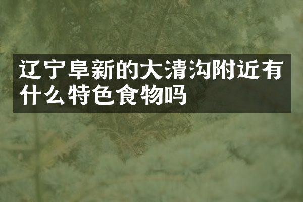 辽宁阜新的大清沟附近有什么特色食物吗