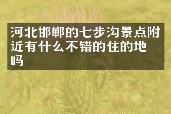 河北邯郸的七步沟景点附近有什么不错的住的地方吗