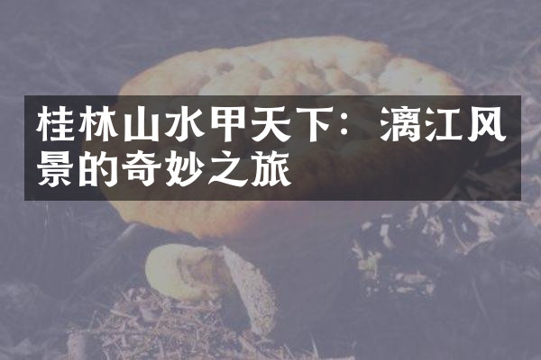 桂林山水甲天下：漓江风景的奇妙之旅