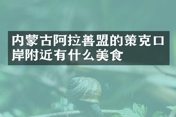 内蒙古阿拉善盟的策克口岸附近有什么美食