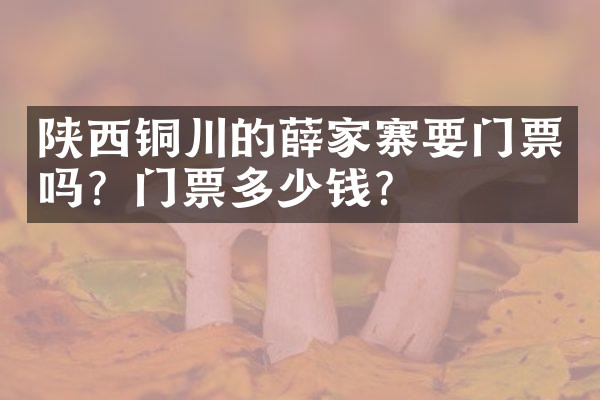 陕西铜川的薛家寨要门票吗？门票多少钱？