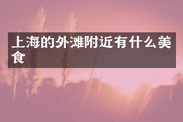 上海的外滩附近有什么美食