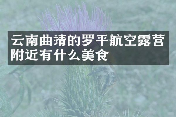 云南曲靖的罗平航空露营附近有什么美食