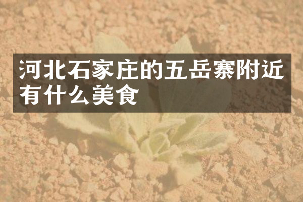 河北石家庄的五岳寨附近有什么美食
