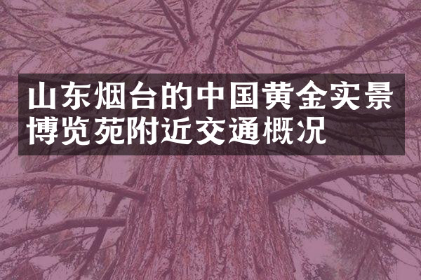 山东烟台的中国黄金实景博览苑附近交通概况