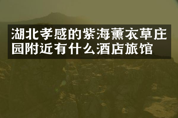 湖北孝感的紫海薰衣草庄园附近有什么酒店旅馆吗