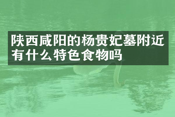 陕西咸阳的杨贵妃墓附近有什么特色食物吗