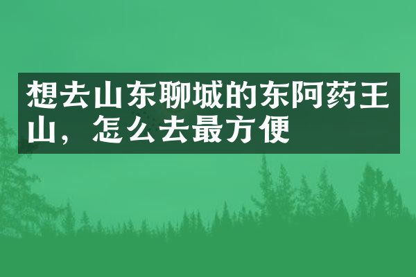 想去山东聊城的东阿药王山，怎么去最方便