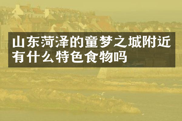 山东菏泽的童梦之城附近有什么特色食物吗