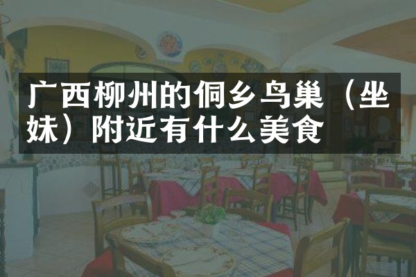 广西柳州的侗乡鸟巢（坐妹）附近有什么美食