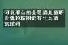 河北邢台的金思猫儿童职业体验城附近有什么酒店旅馆吗