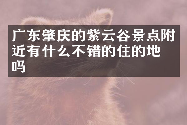 广东肇庆的紫云谷景点附近有什么不错的住的地方吗