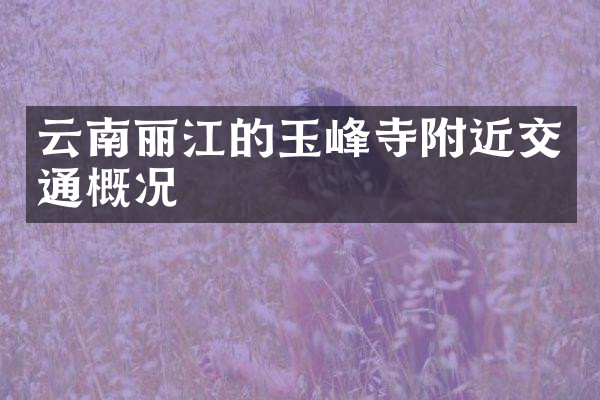 云南丽江的玉峰寺附近交通概况