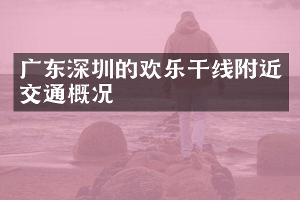 广东深圳的欢乐干线附近交通概况