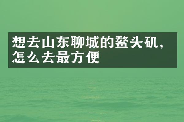 想去山东聊城的鳌头矶，怎么去最方便