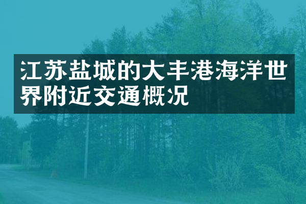 江苏盐城的大丰港海洋世界附近交通概况
