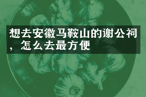 想去安徽马鞍山的谢公祠，怎么去最方便