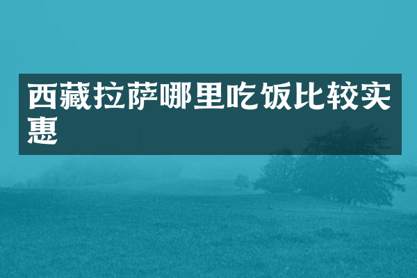 西藏拉萨哪里吃饭比较实惠
