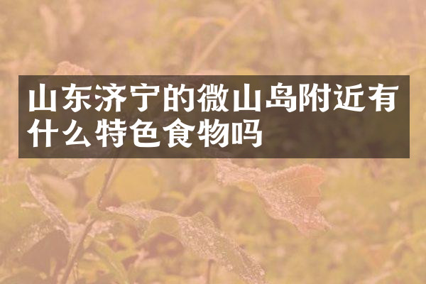 山东济宁的微山岛附近有什么特色食物吗