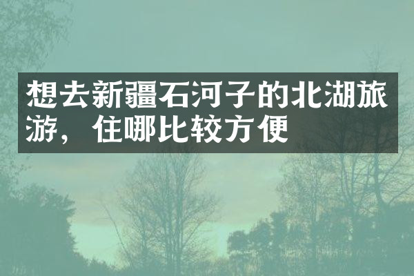 想去新疆石河子的北湖旅游，住哪比较方便