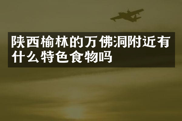 陕西榆林的万佛洞附近有什么特色食物吗