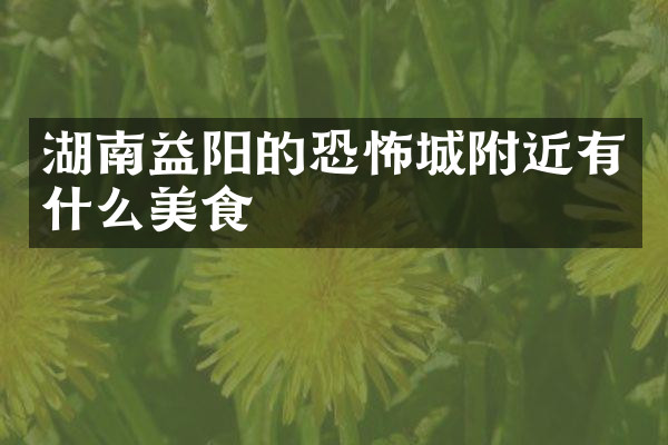 湖南益阳的恐怖城附近有什么美食