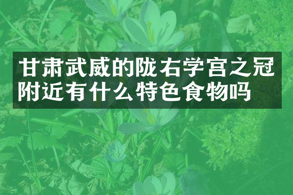 甘肃武威的陇右学宫之冠附近有什么特色食物吗