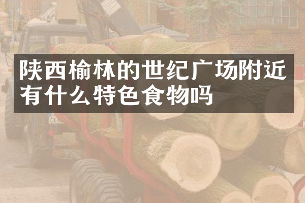 陕西榆林的世纪广场附近有什么特色食物吗