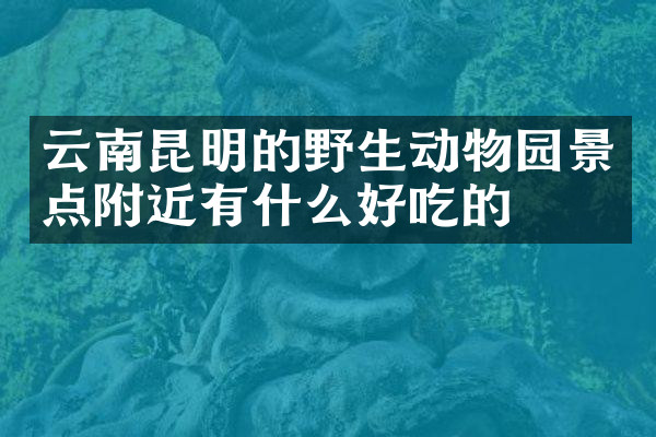 云南昆明的野生动物园景点附近有什么好吃的