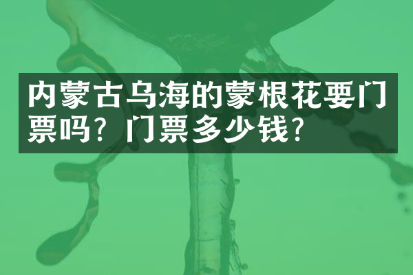 内蒙古乌海的蒙根花要门票吗？门票多少钱？