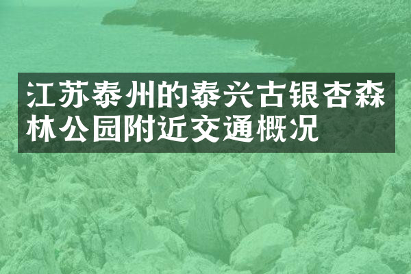 江苏泰州的泰兴古银杏森林公园附近交通概况