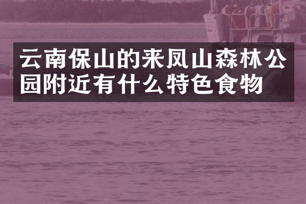 云南保山的来凤山森林公园附近有什么特色食物吗