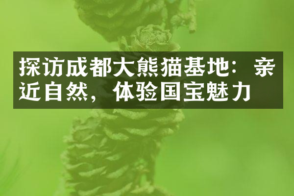 探访成都大熊猫基地：亲近自然，体验国宝魅力