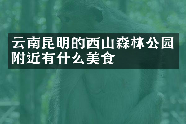 云南昆明的西山森林公园附近有什么美食