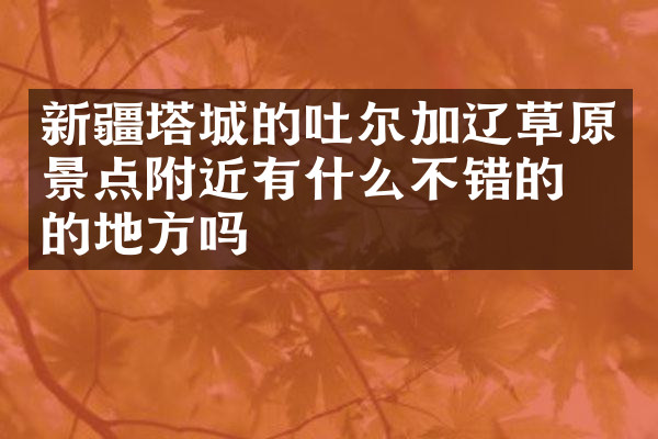 新疆塔城的吐尔加辽草原景点附近有什么不错的住的地方吗