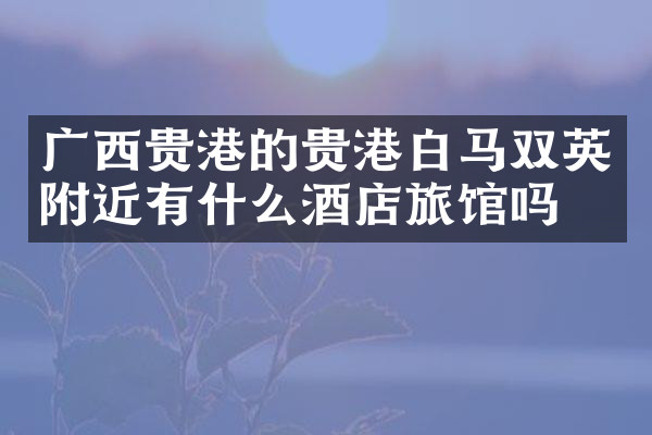 广西贵港的贵港白马双英附近有什么酒店旅馆吗