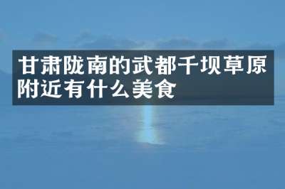 甘肃陇南的武都千坝草原附近有什么美食