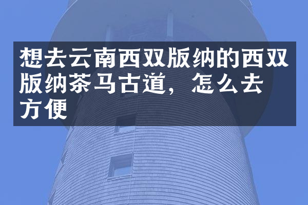 想去云南西双版纳的西双版纳茶马古道，怎么去最方便