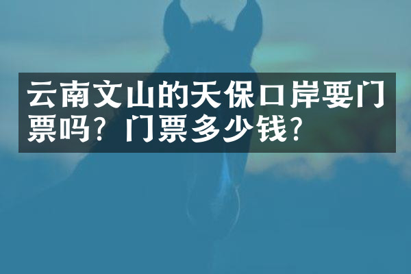 云南文山的天保口岸要门票吗？门票多少钱？