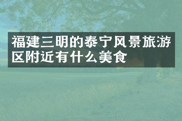福建三明的泰宁风景旅游区附近有什么美食