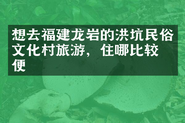想去福建龙岩的洪坑民俗文化村旅游，住哪比较方便