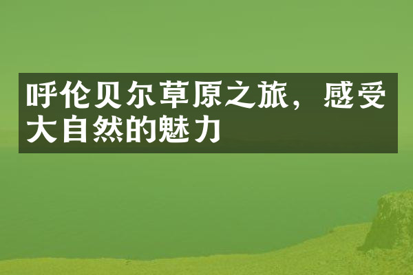 呼伦贝尔草原之旅，感受大自然的魅力
