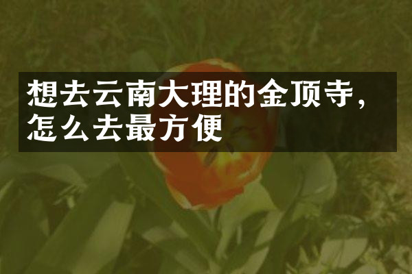 想去云南大理的金顶寺，怎么去最方便