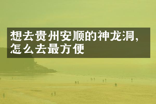 想去贵州安顺的神龙洞，怎么去最方便